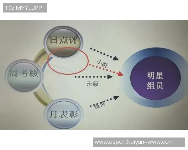 电竞实时数据青年赛分析WE团队协作表现与战术执行的深度点评